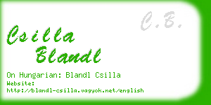 csilla blandl business card